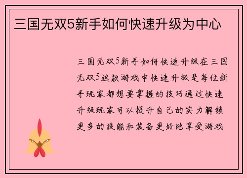 三国无双5新手如何快速升级为中心