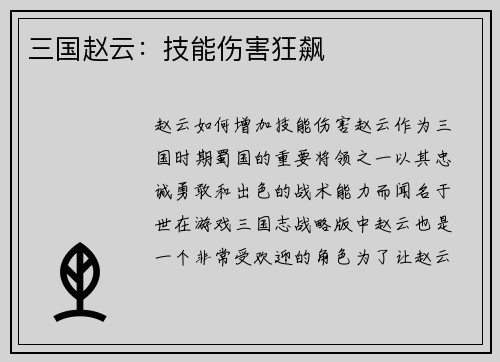 三国赵云：技能伤害狂飙