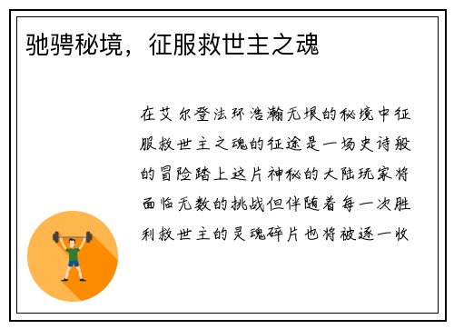 驰骋秘境，征服救世主之魂